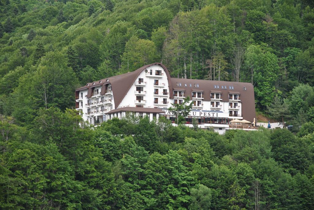 Hotel Valea Cu Pesti Căpăţîneni-Ungureni Kültér fotó